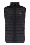 Alpine down vest