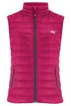 Alpine down vest