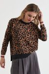 Leopard crew jumper