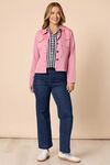 Carpenter jean