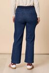 Carpenter jean