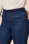 Carpenter jean