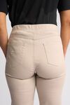 Bay pullon pant